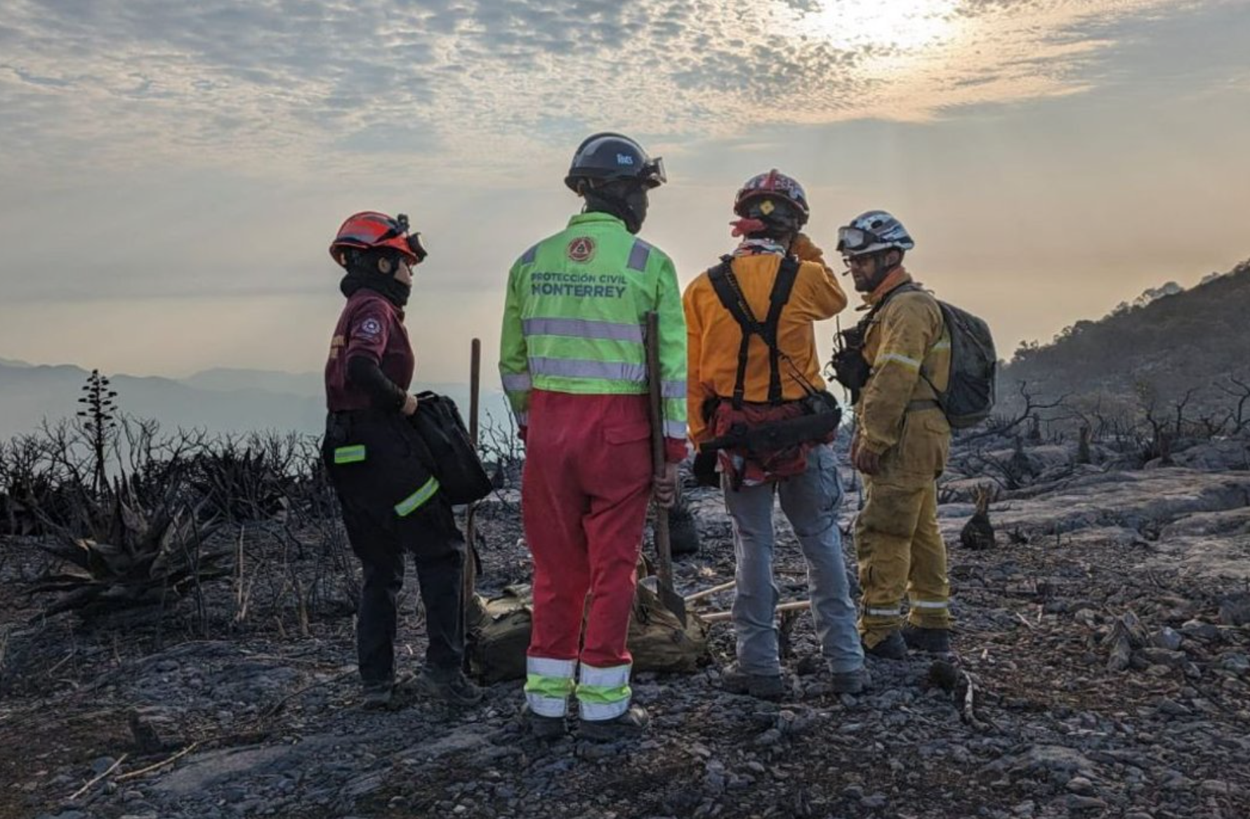 Lluvias apagan incendios forestales en Nuevo León